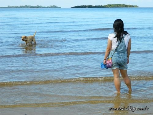 Colonia del Sacramento no Uruguay: A praia e o cachorro Beni!