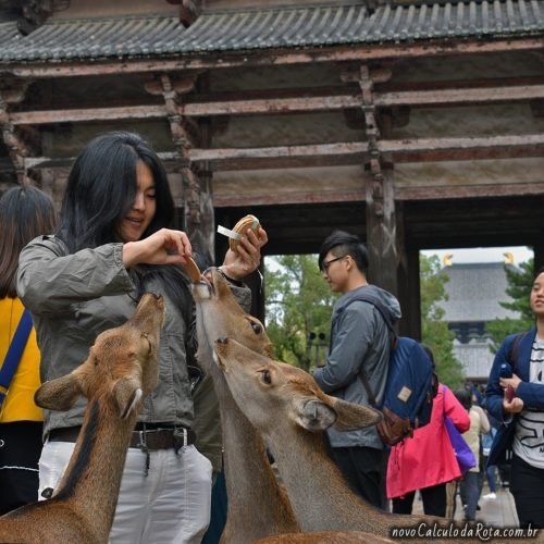 Conquistando a amizade dos cervos com a comida (shika sembei) em Nara