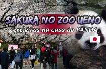 Sakura no Zoo de Ueno - A casa do Urso Panda Gigante
