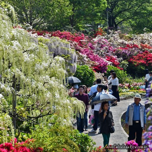 O Ashikaga Flower Park em Tochigi