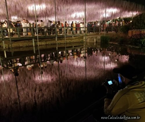 Reflexos no lago do Ashikaga Flower Park