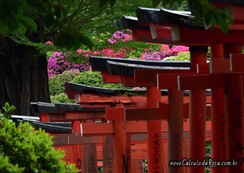 O túnel de torii vermelho no Santuário Nezu em Tokyo