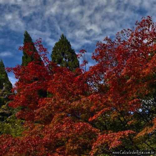 A melhor época para ir ao Japão: outono