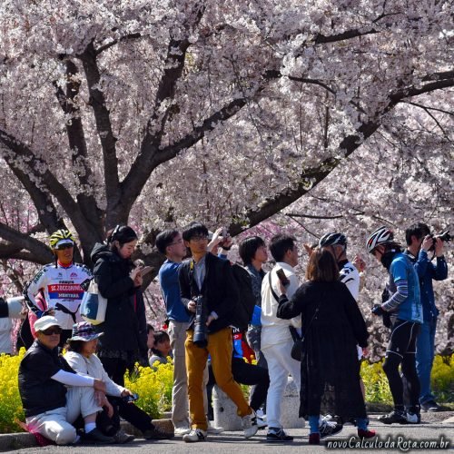 Desfile de câmeras e lentes no SakuraNoYama!