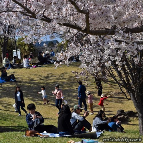 Famílias reunidas no SakuraNoYama Park em Narita