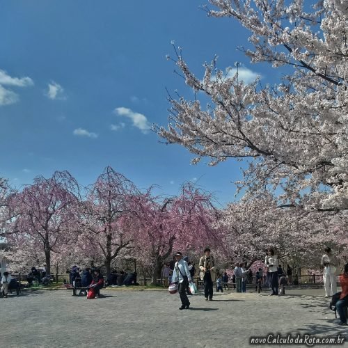 Várias cores de cerejeiras no SakuraNoYama Park em Narita