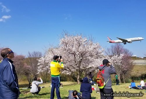 Francisco, Bob e Issao atentos no SakuraNoYama Park!