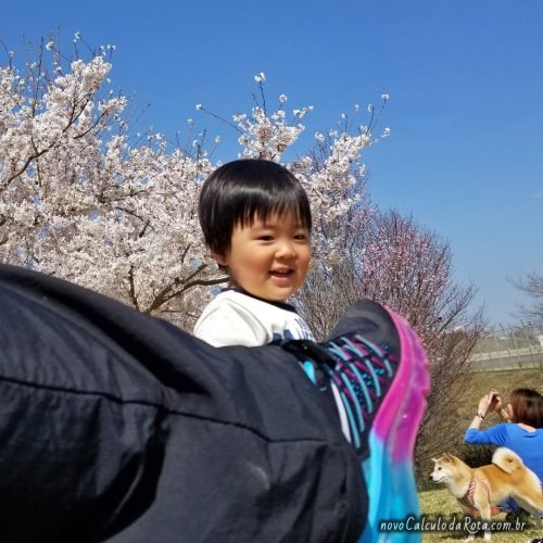 Crianças e cães no SakuraNoYama Park!