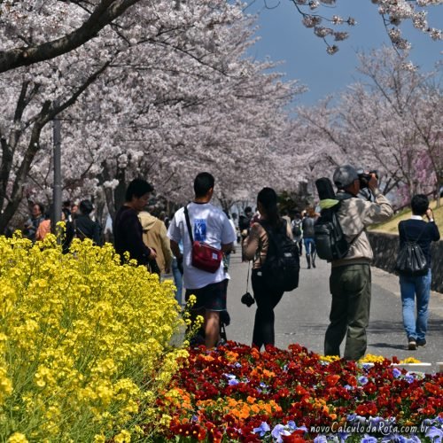 Show de cores no SakuraNoYama Park!